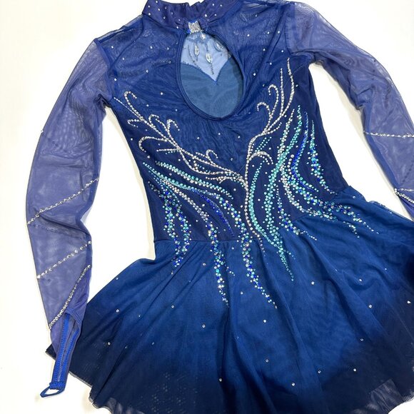 Girls Long Sleeve Figure Ice Skating Dress Rhinestones Mesh Ballet Dance Dresses - Picture 3 of 10